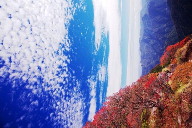【2027年カレンダー】【日本の風景／地名のポストカード】愛媛県石鎚山 うろこ雲の青空に映える紅葉の稜線 はがき お土産 ハガキ 撮影/絶景.com