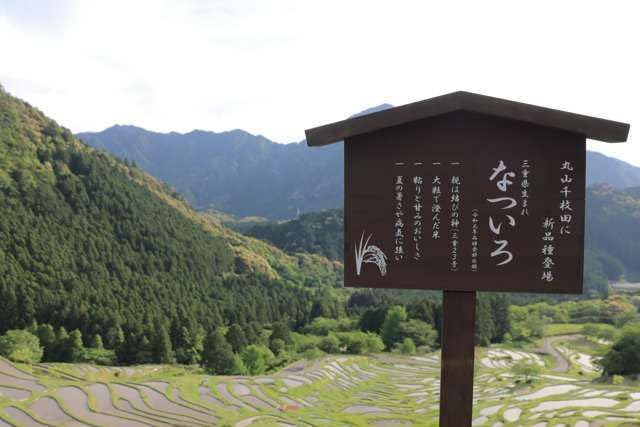 【2027年カレンダー】【日本の風景／地名のポストカード】三重県熊野市 丸山千枚田の看板と棚田の眺め はがき お土産 ハガキ 撮影/MIRO
