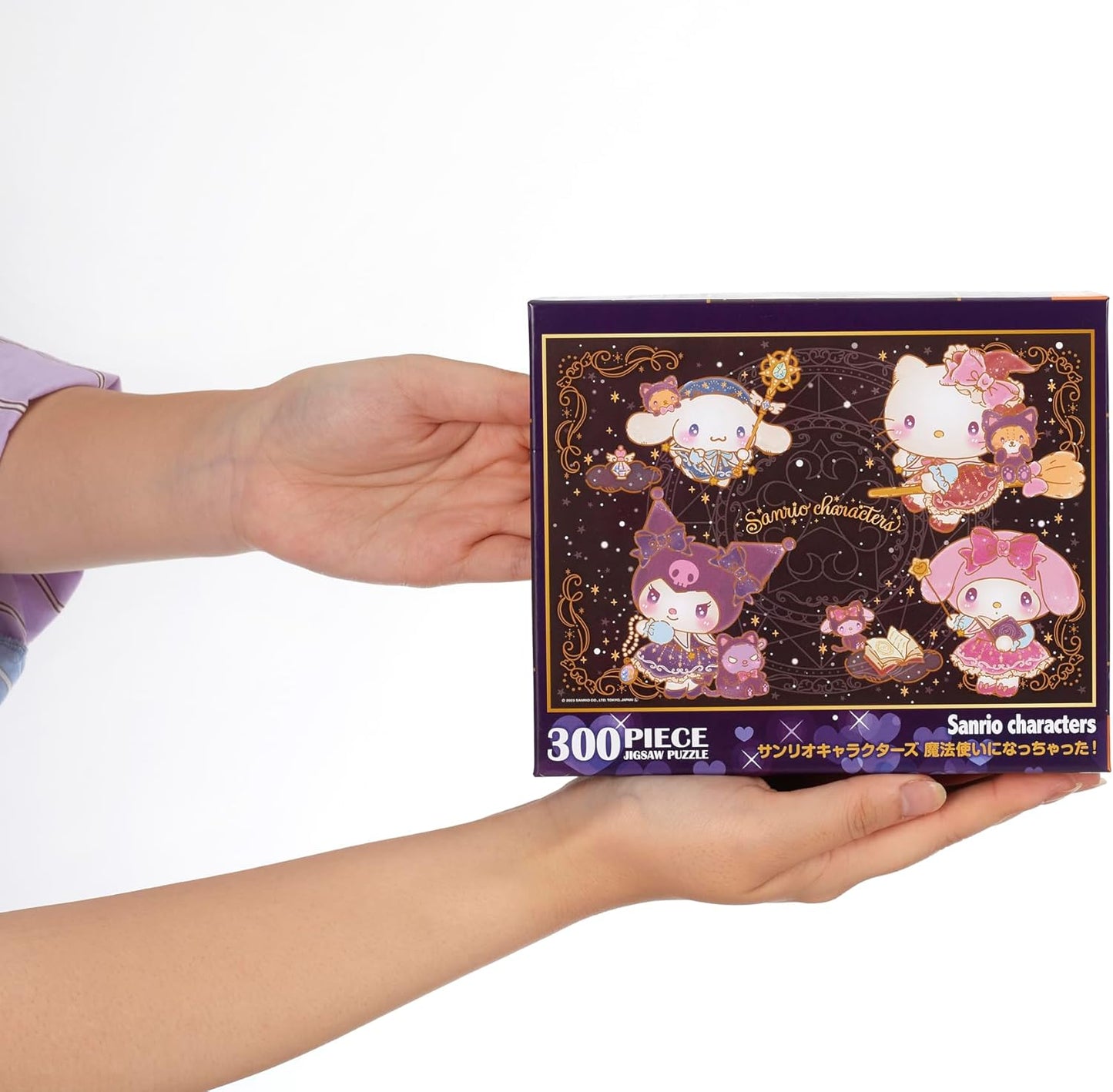 Beverly 300-043 Sanrio Characters Jigsaw Puzzle (Made in Japan) 300 Piece Jigsaw Puzzle (10.2 x 15.0 inches (26 x 38 cm)