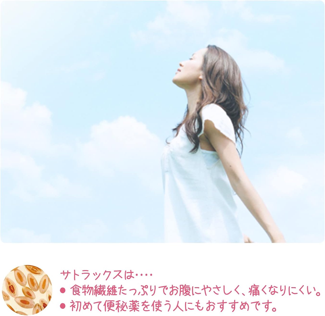 【指定第2類医薬品】サトラックス「分包」 4g×80包入