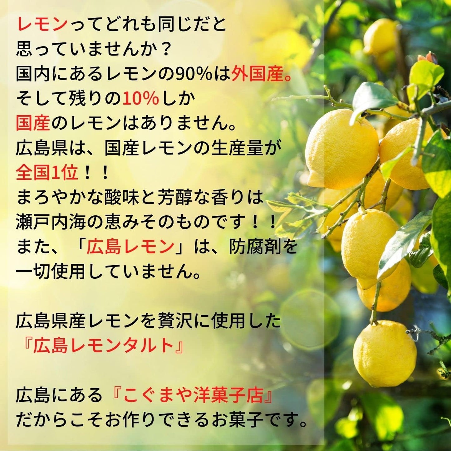 Kogumaya Pastry Shop Hiroshima Lemon Tart 5 Piece Gift Baked Confectionery Souvenir Individual Packaging Present Celebration Sweets Returns Popular Stylish Gift Retirement Confectionery New Year's Day
