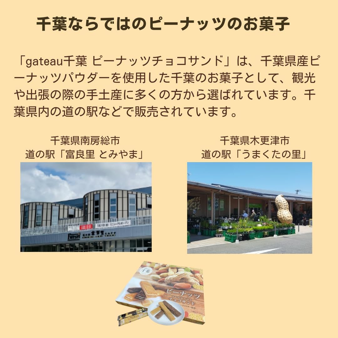 Chiba Souvenir "Peanuts Chocolate Sand" Pack of 20 Chiba Souvenir Candy