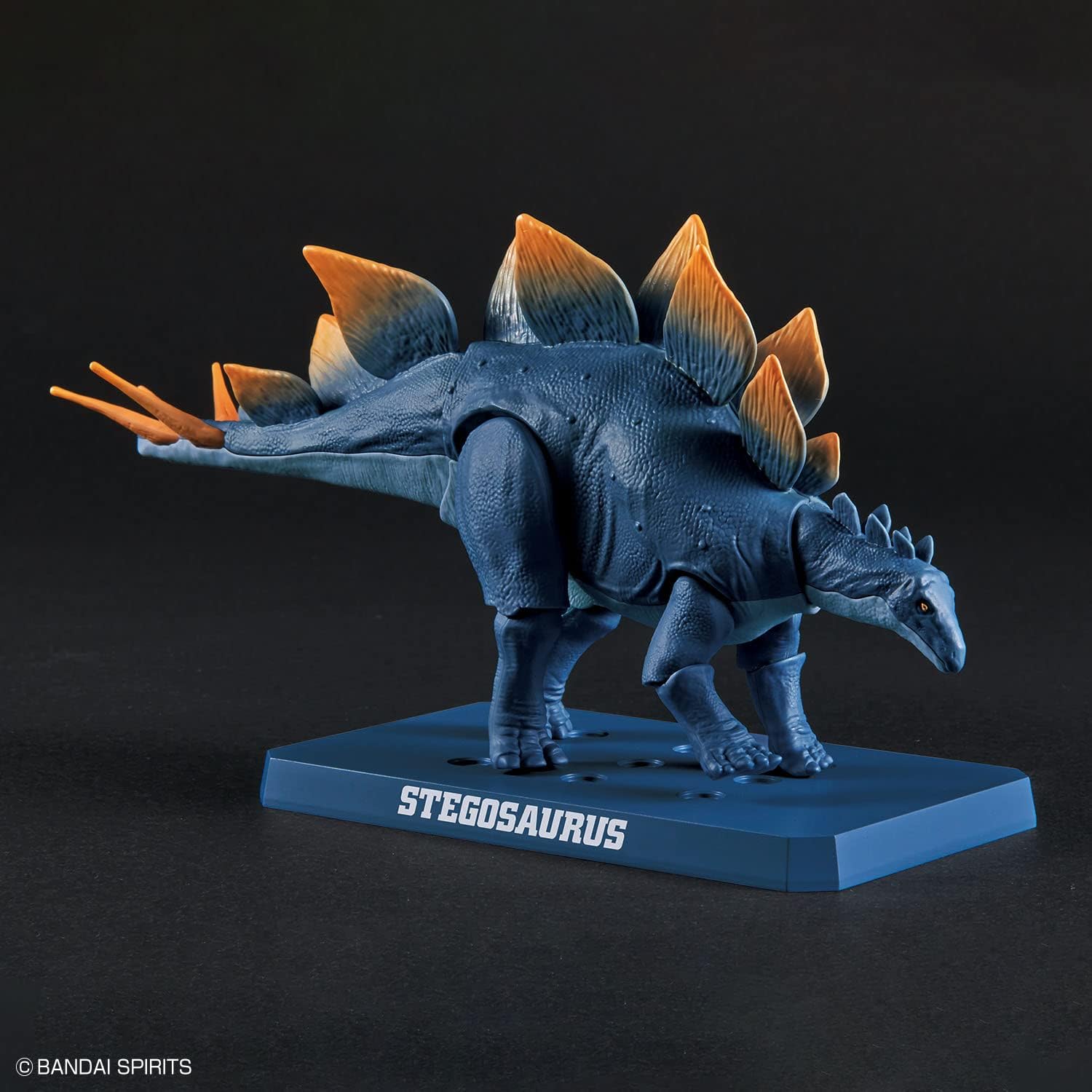 Bandai Spirits Planosaurus Stegosaurus Color Coded Plastic Model