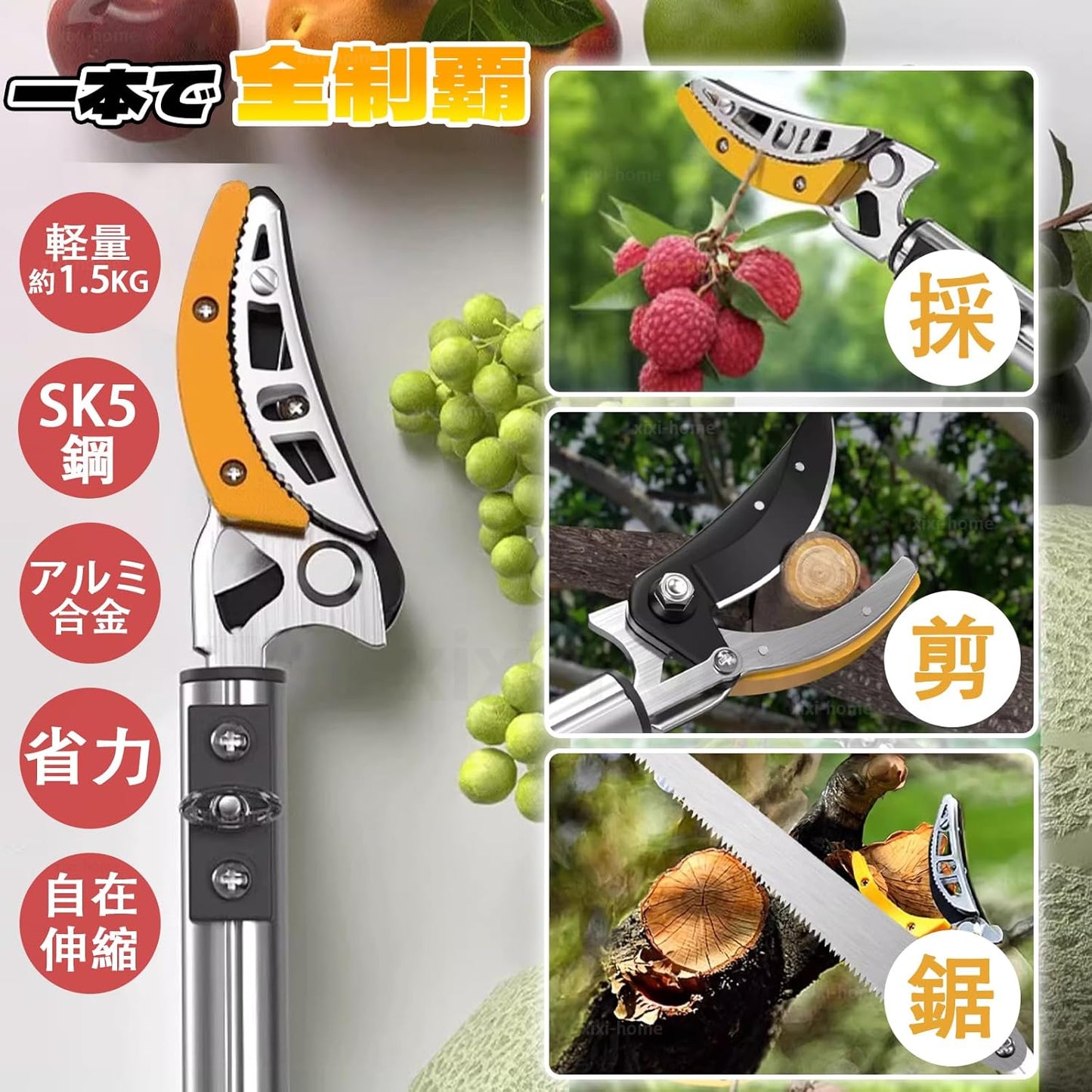 Telescopic High Branch Cutting Shears 【Gardener Recommended】 SK5 High-Grade Alloy Steel 2-Stage 3-Stage 2m 3m 4m 5m Lightweight with Saw Lock Fruit Picking High Branch Cutting Shears High