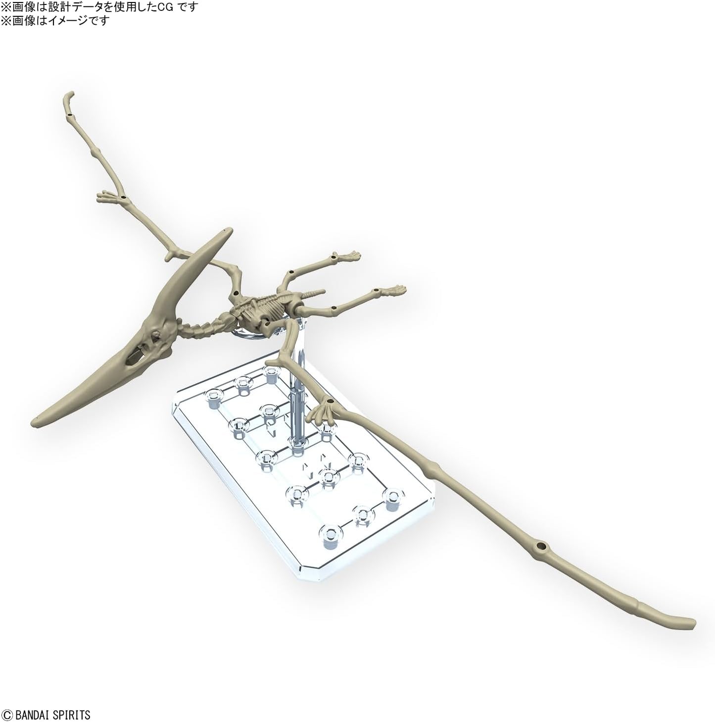 Bandai Spirits Planosaurus Pteranodon Color Coded Plastic Model