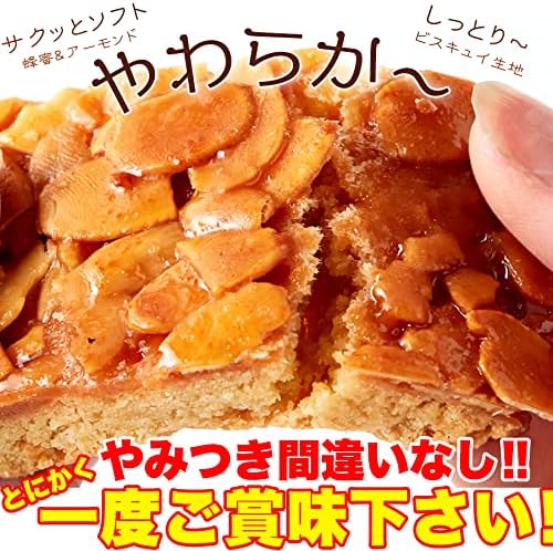 Natural Life Imperfect Almond Florentine (6 Pieces), Produced in Hokkaido, Baked Confectionery, Western Confectionery, Premium Sweets, French Sweets, Traditional Sweets, Sweets, Confectionery, Snacks