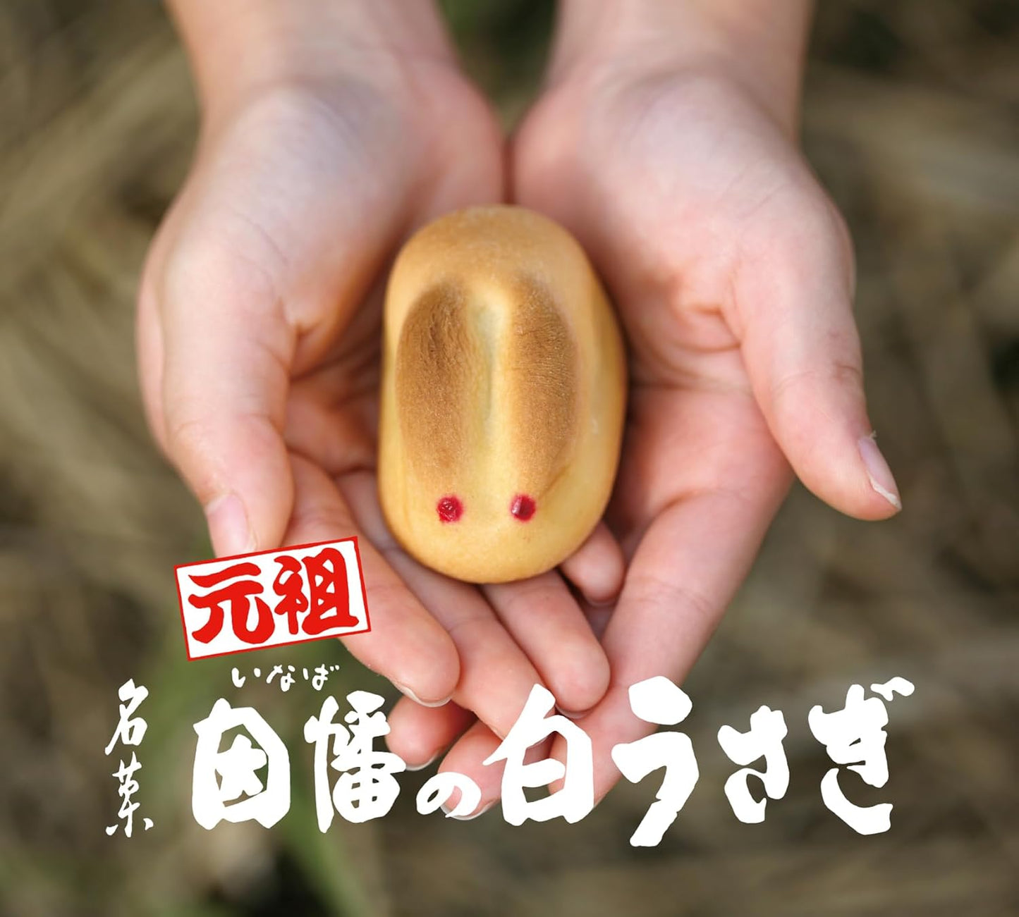 Inaba White Rabbit (20 Pieces) Sanin Souvenir, Manju, Rabbit Sweets, Japanese Sweets