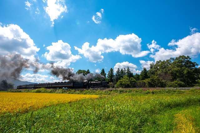 【2027年カレンダー】【日本風景ポストカード】山口県 JR西日本 D51 SLやまぐち号 photo by daikegoroフォトカードお土産に４
