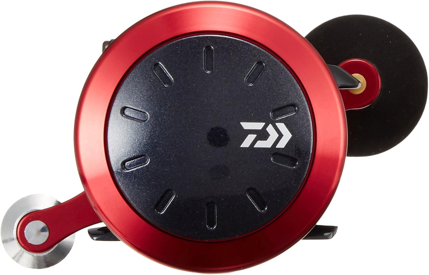 ダイワ(DAIWA) 両軸リール 17 ダイナスター 150/250/300 (2017モデル)