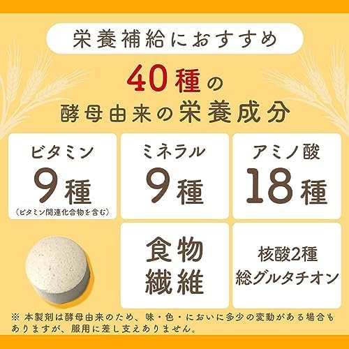 Ebios Tablets 300 Tablets Pouch with Chuck Refill [Designated Over-the-Counter Drug] Stomach and Nutrition Supplement Stomach Medicine Intestinal Medicine Indigestion Heartburn Hangover Nausea MSJ
