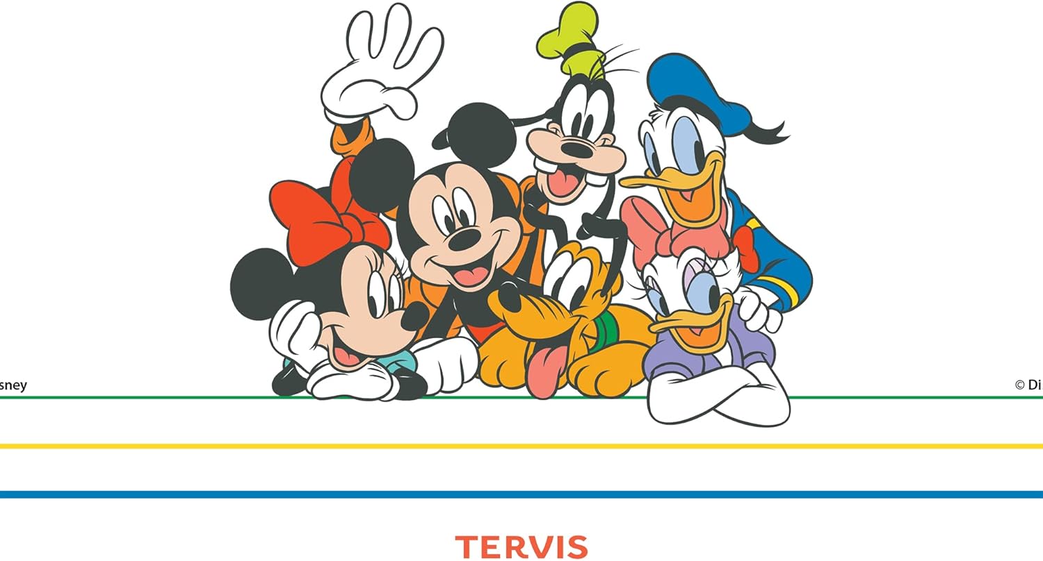 Tervis Traveler Disney Mickey Group - Vaso de viaje de triple pared con aislamiento, mantiene las bebidas frías y calientes, 20 onzas, acero inoxidable