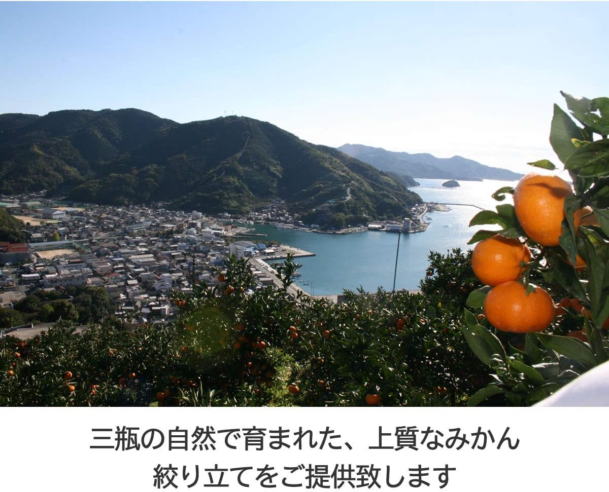 Ehime Mandarin Orange Juice, Straight, 24.3 fl oz (720 ml)
