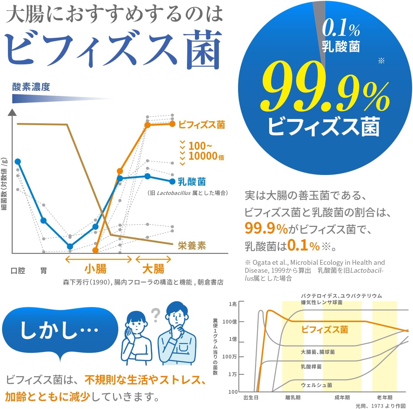 Morinaga Dairy delivers live Bifidobacterium BB536, 30-day supply, food with functional claims, Bifidus | Bifidobacterium BB536 is reported to improve the intestinal environment of the large intestine