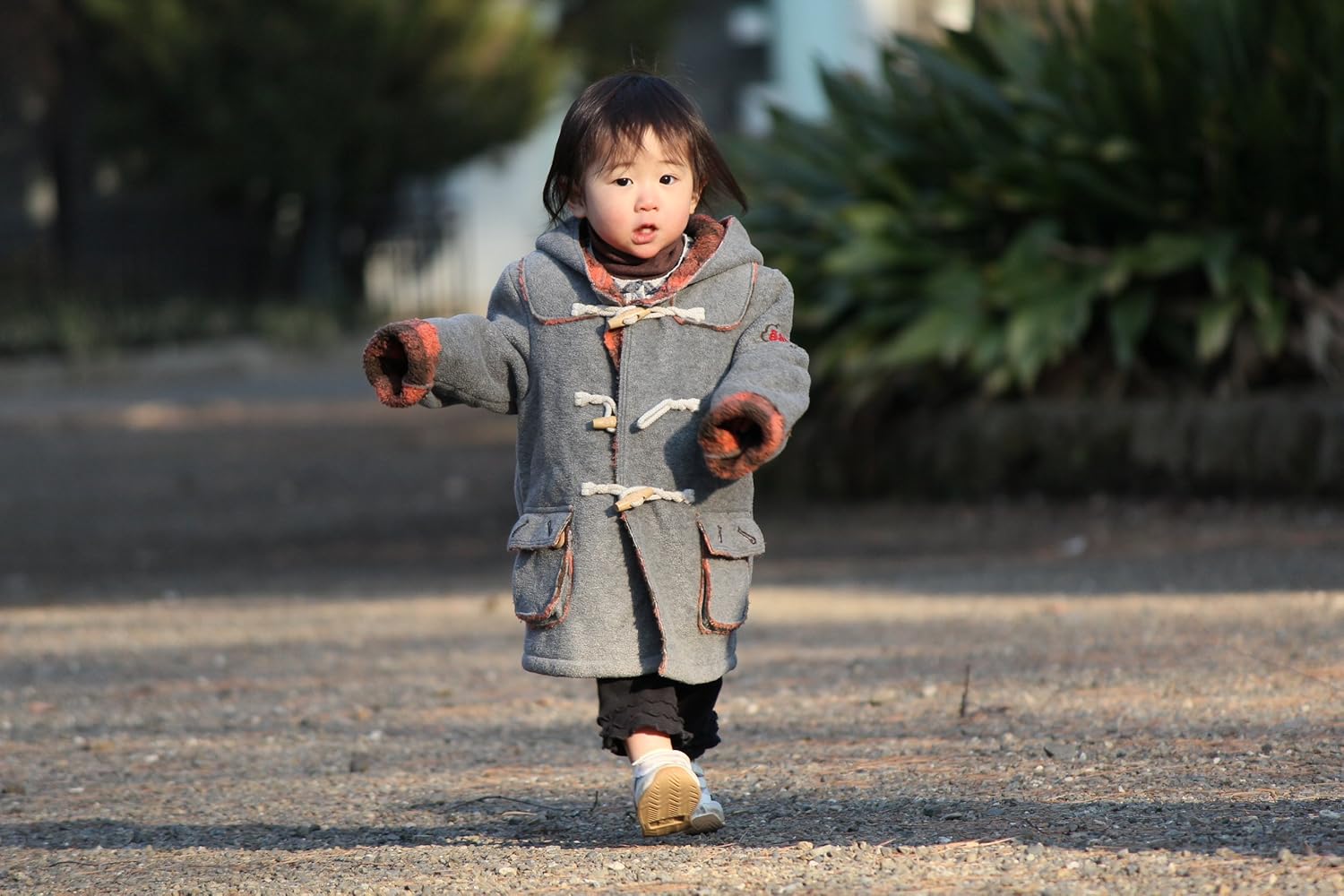 Canon 望遠レンズ EF-S55-250mm F4-5.6 IS APS-C対応
