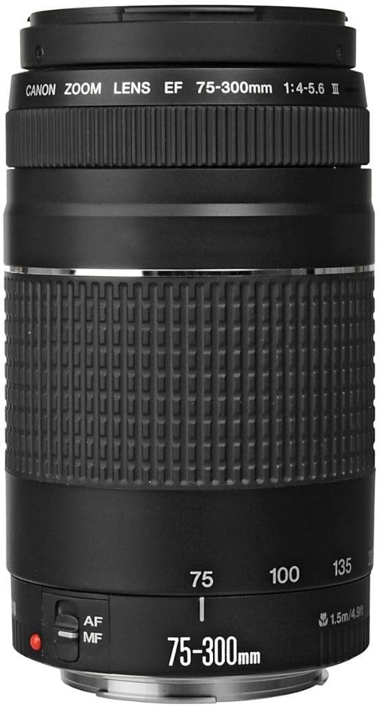 Canon EF 75 – 300 mm f / 4 – 5.6 III望遠ズームレンズfor Canon SLRカメラ、6473 a003 (認定Refurbished )