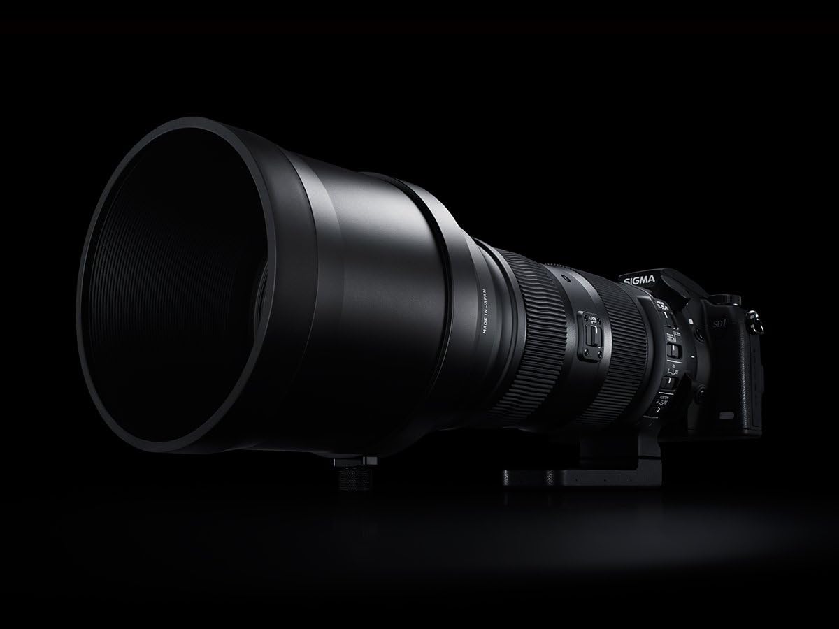 Sigma 150-600mm F5-6.3 S DG OS HSM