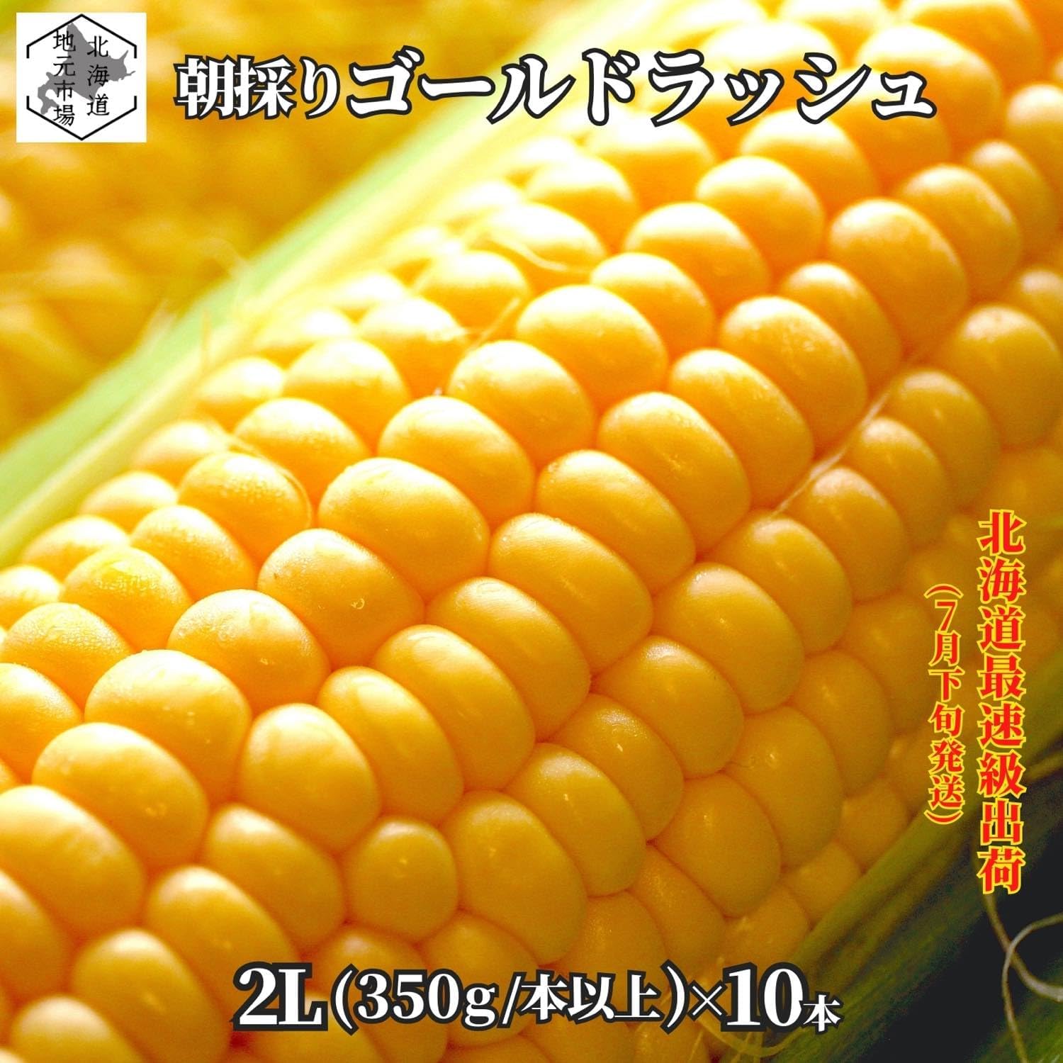 Corn, Hokkaido, Gold Rush, 6.6 gal (2 L), Size x 10, Morning Harvesting, Sweet Corn, Hokkaido, Corn, and Shrimps