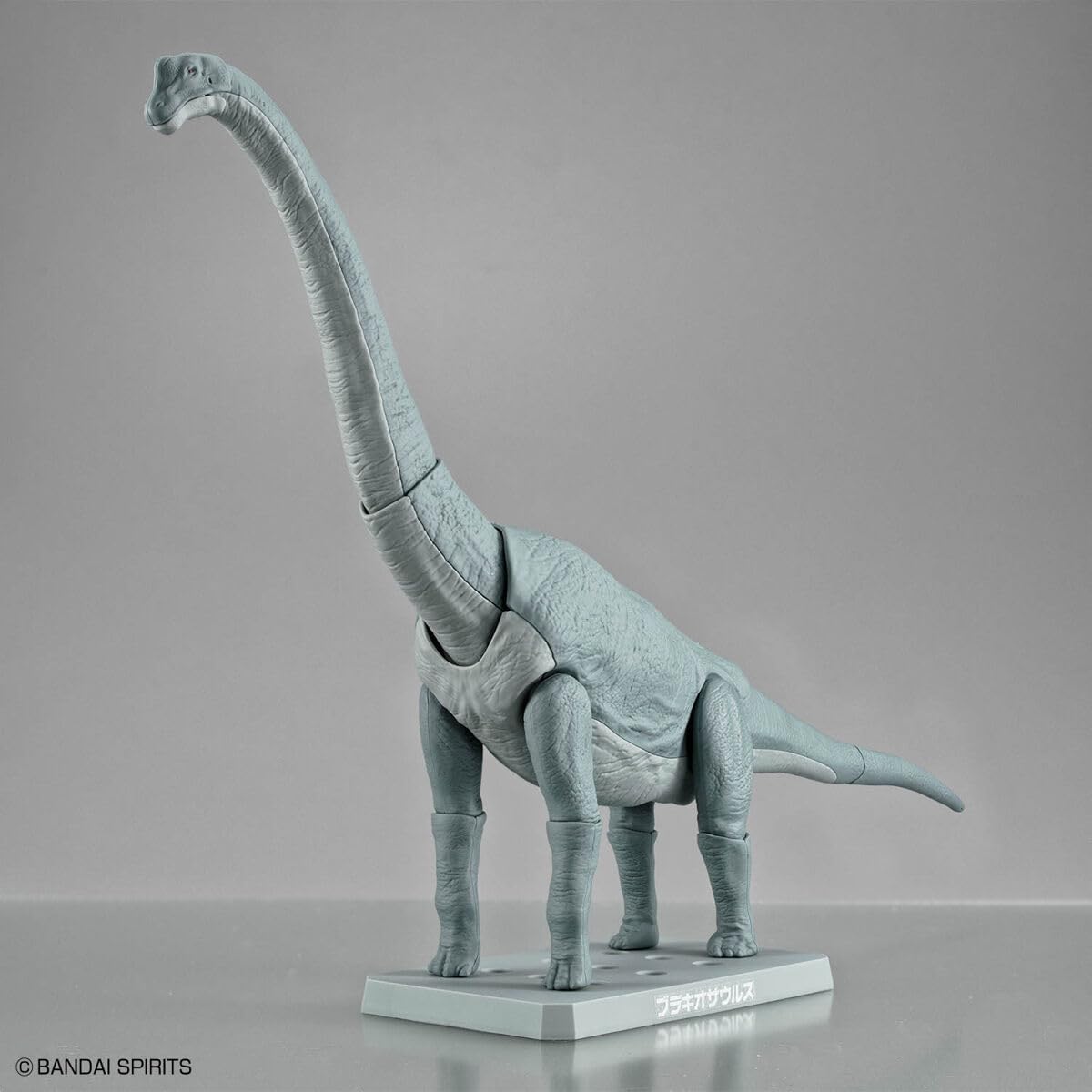 Bandai Spirits Planosaurus Brachiosaurus Color Coded Plastic Model