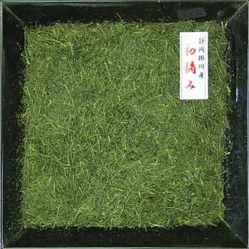 Shizuoka Kogawa Tea, New Tea, Deep Steamed Tea, First Picked, 3.5 oz (100 g), 100% Kakawa Made in Kakawa Tea, Deep Mushi Tea, Sajimoto Tea