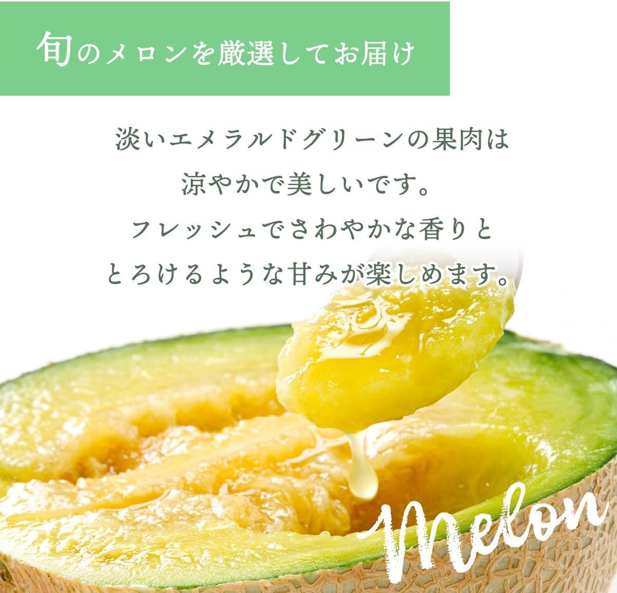 Delicious Cousin Midori from Kochi Prefecture. Melon Fully Ripened Premium Akashi A *Supervised by Vegetable Sommelier, Iron Compatible (Mask Melon)