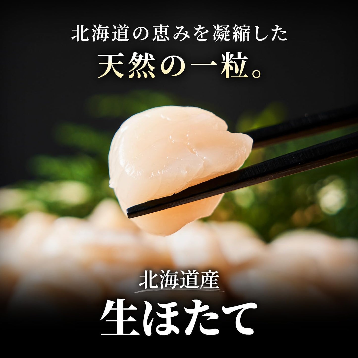 Hokkaido Karen Scallop Pillar 3S - 4S Generous 2.2 lbs (1 kg) (Approx. 41 - 60 seeds), For Sashimi, Frozen