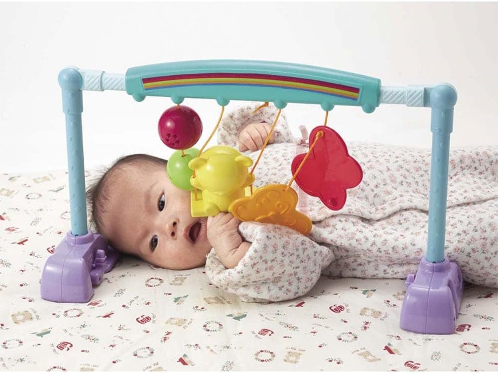 ピープル うちの赤ちゃん世界一新生児から遊べるベビージム