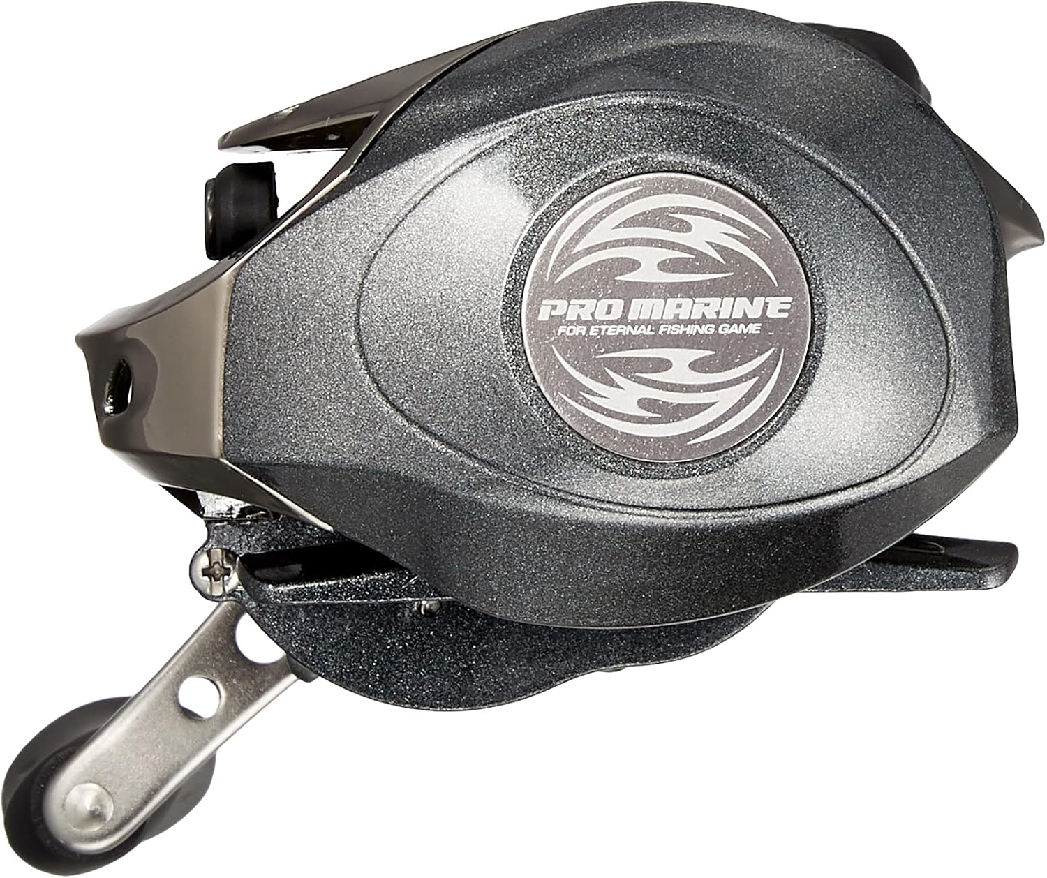 PRO MARINE Ricardo RD100W RD100W Pro Marine Fishing Reel Bait Reel Dual Axis