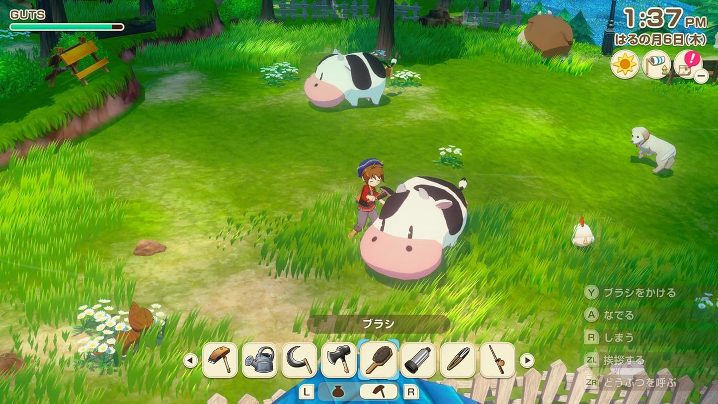 牧場物語 Let's 風のグランドバザール Nintendo Switch 2 Edition -Switch2
