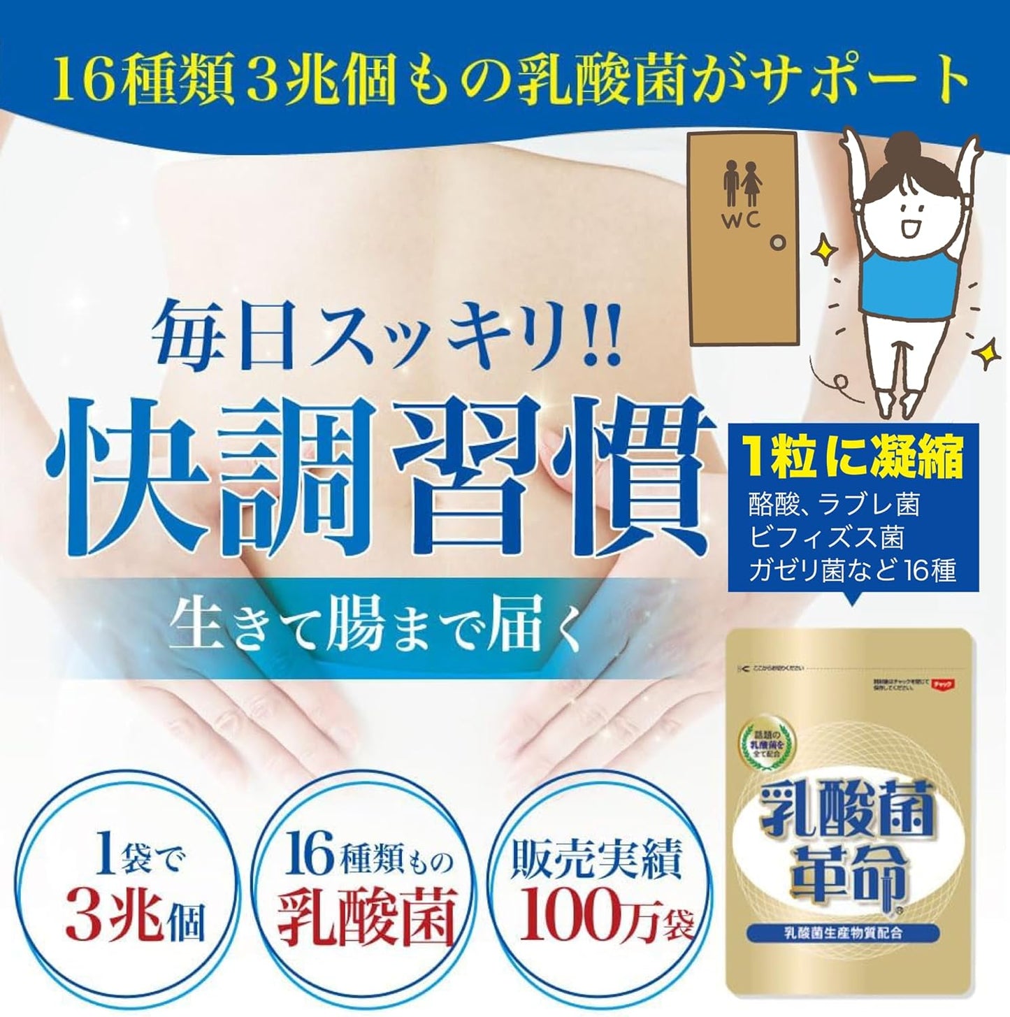 【16 types 3 trillion of live lactic acid bacteria】 Lactic acid bacteria revolution, a new habit of health × beauty supplement, intestinal activity, Bifidobacterium, butyric acid bacteria, short-chain
