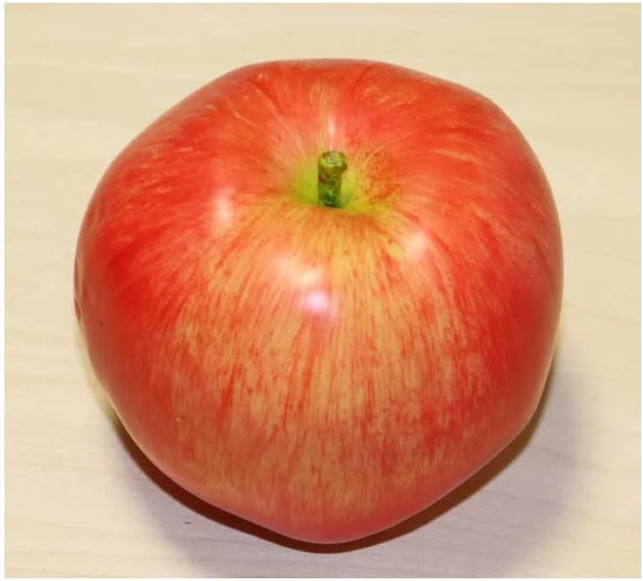 Set of 2 Realistic Apples Food Sample Fruit Model (Large)