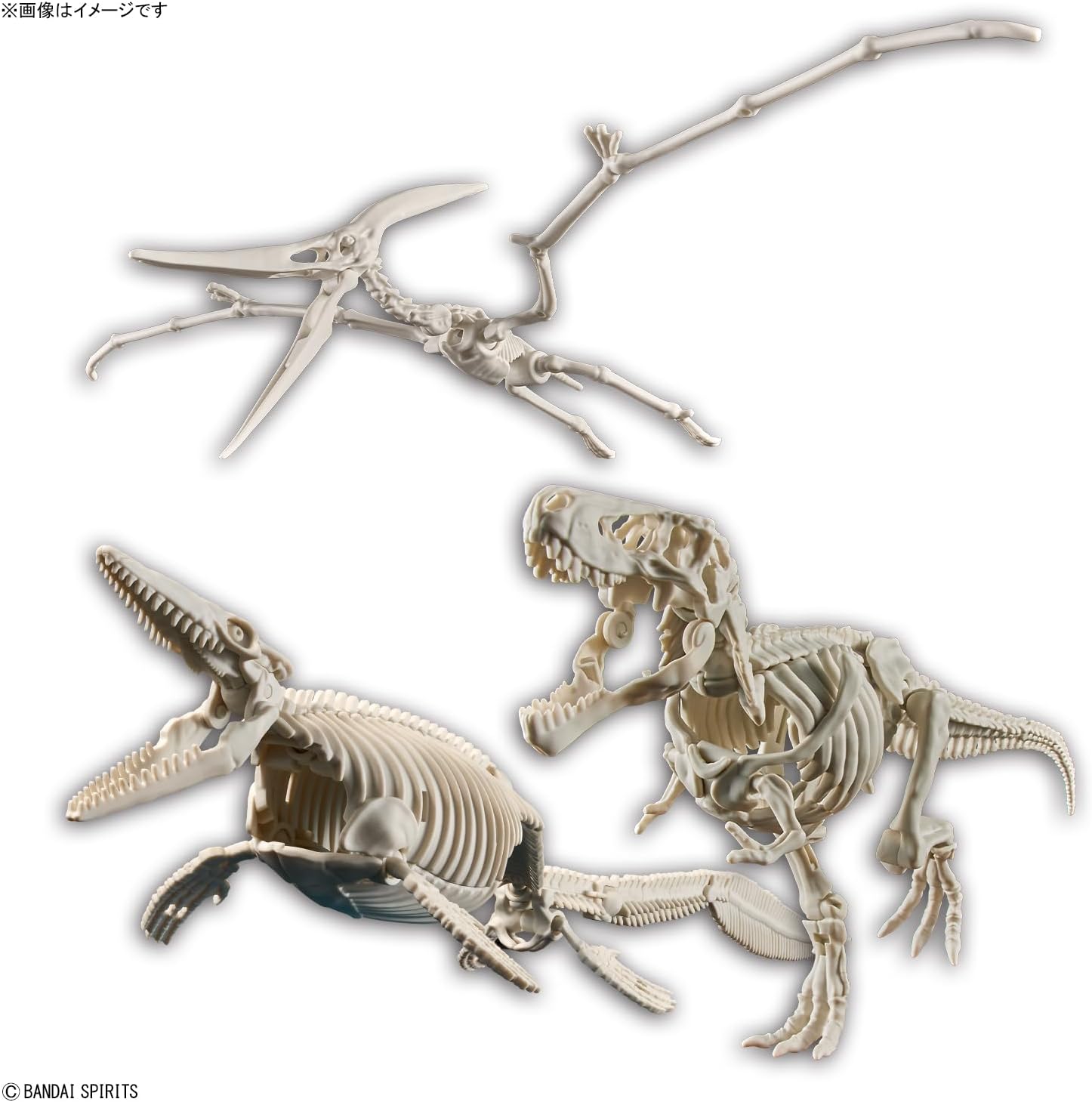 Bandai Spirits Planosaurus Land and Sea Dinosaur Set, Color Coded Plastic Model