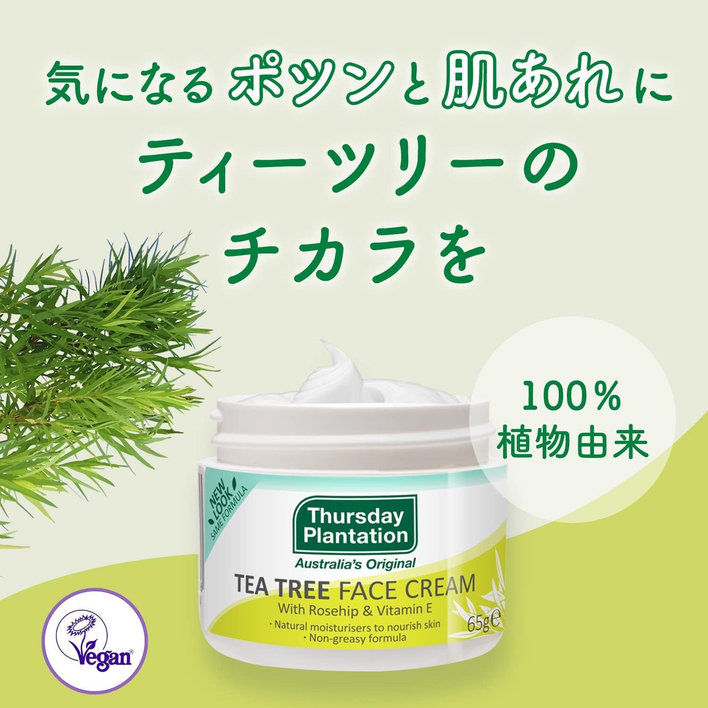 Thursday Plantation Tea Tree Facial Cream (65g / Moisturizing Cream), Australian Tea Tree Oil, Shea Butter (Rough Skin/Moisturizing), Sensitive Skin, Oily Skin, Skin Care