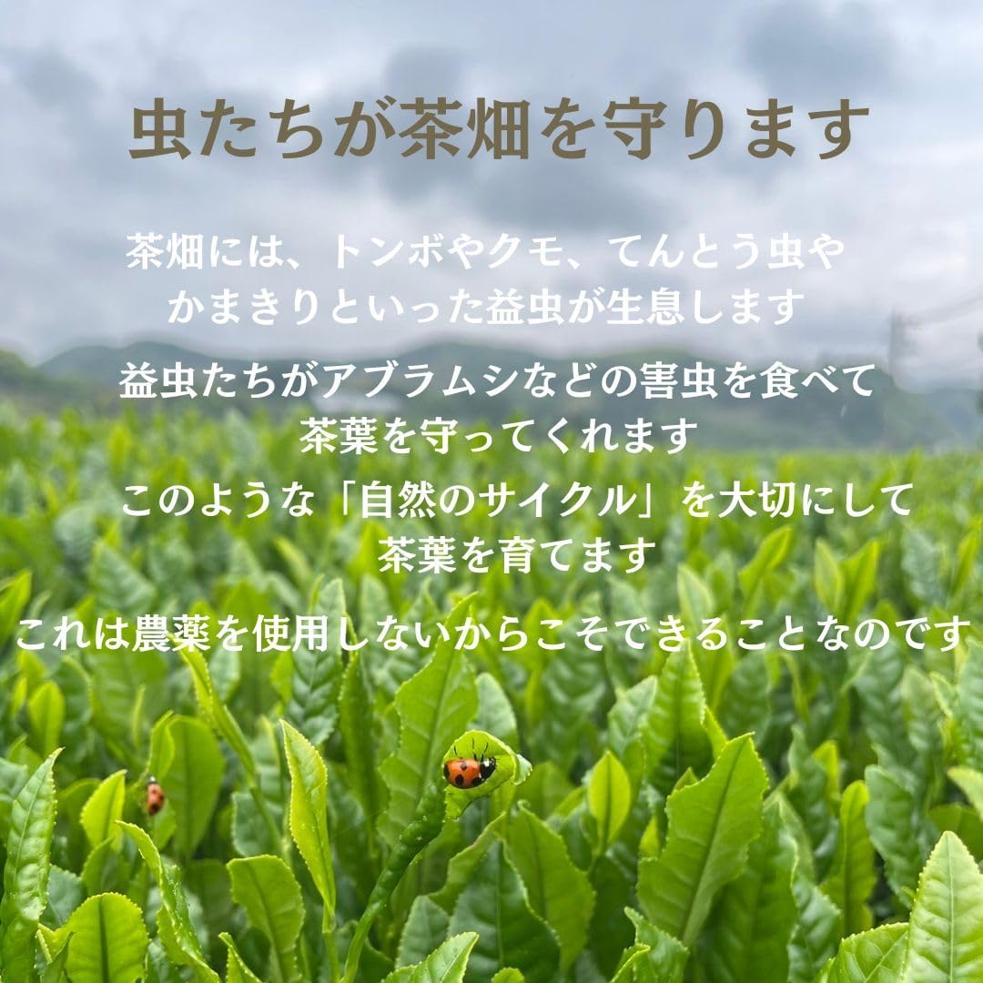 Nagata Tea Garden Organic Matcha Brown Rice Tea Bag (0.1 oz (3 g) x 15 P), 100% Organic Tea, Organic Green Tea, Japanese Tea, Tea Pack, Tea Pack (1)