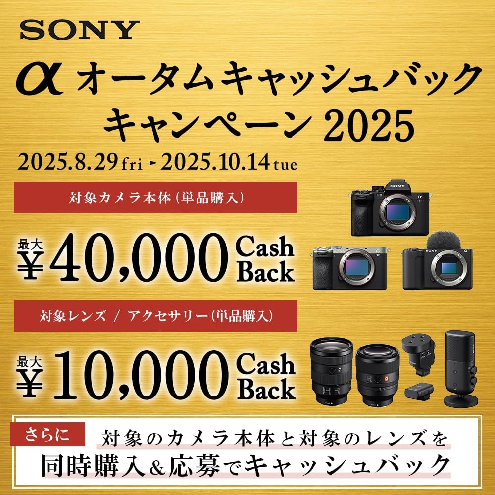 SONY(ソニー) 望遠ズームレンズ フルサイズ FE 70-200mm F2.8 GM OSS G Master デジタル一眼カメラα[Eマウント]用 純正レンズ SEL70200GM