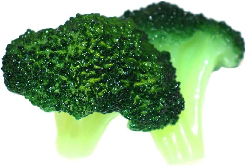 Speed mao Realistic Broccoli Food Sample Model Set of 6