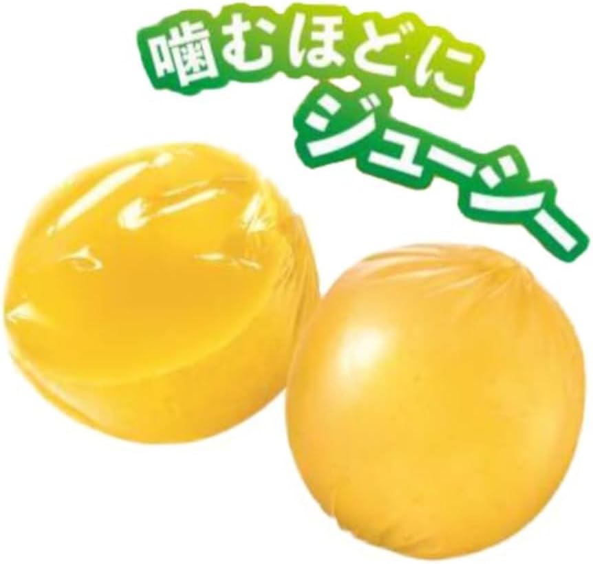 味覚糖 コロロ 沖縄パイン 40g×24袋(6×4)