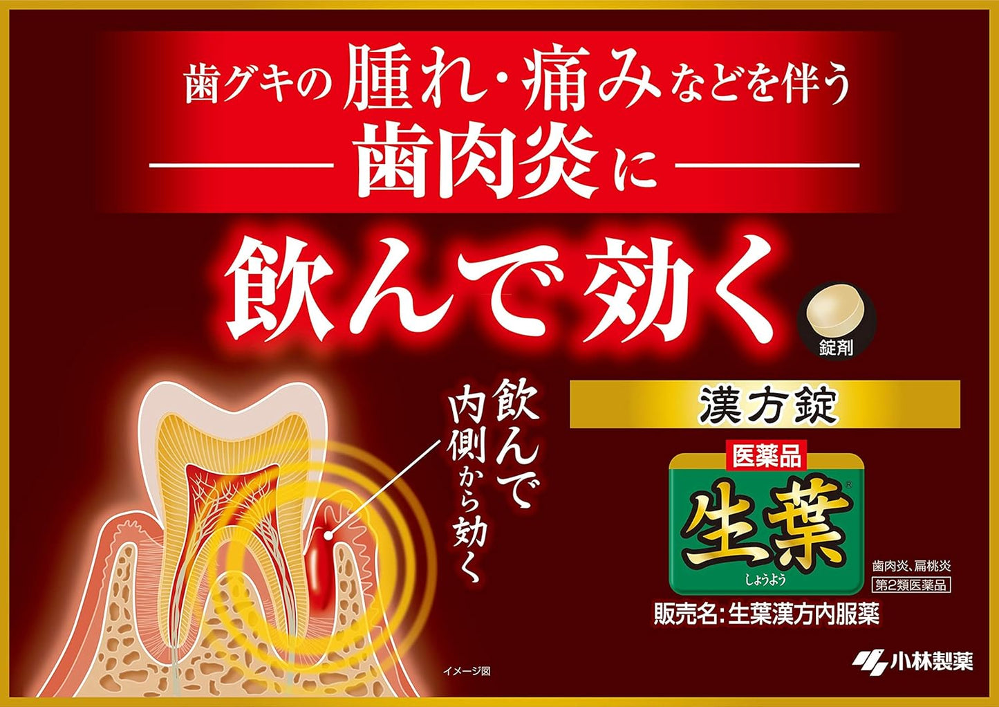 【第2類医薬品】生葉漢方内服錠 84錠