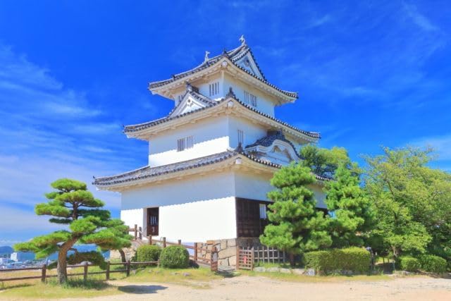 【2027年カレンダー】【日本の風景ポストカード】四国香川県晴天下の丸亀城 はがき お土産 ハガキ 撮影/kazukiatuko