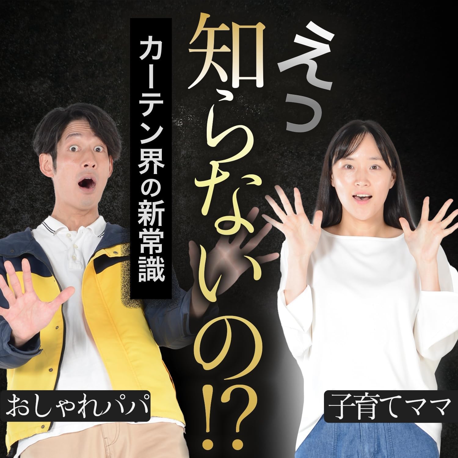 Hobby Craftsman Car Curtain Magnetic Shade Blackout Prius ZVW 50 Series [Nekopos] Lot No. 03 "09mc-a018-sa"