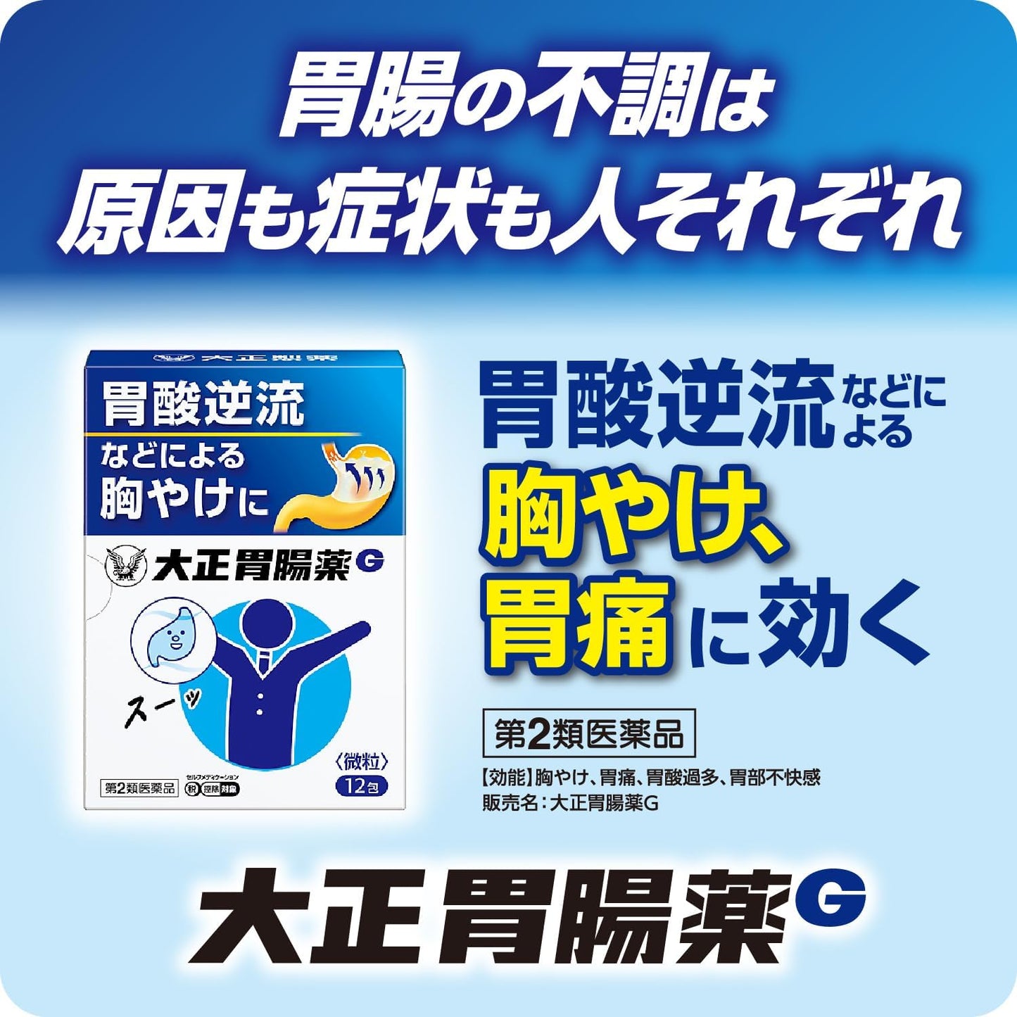 【第2類医薬品】大正胃腸薬G 12包