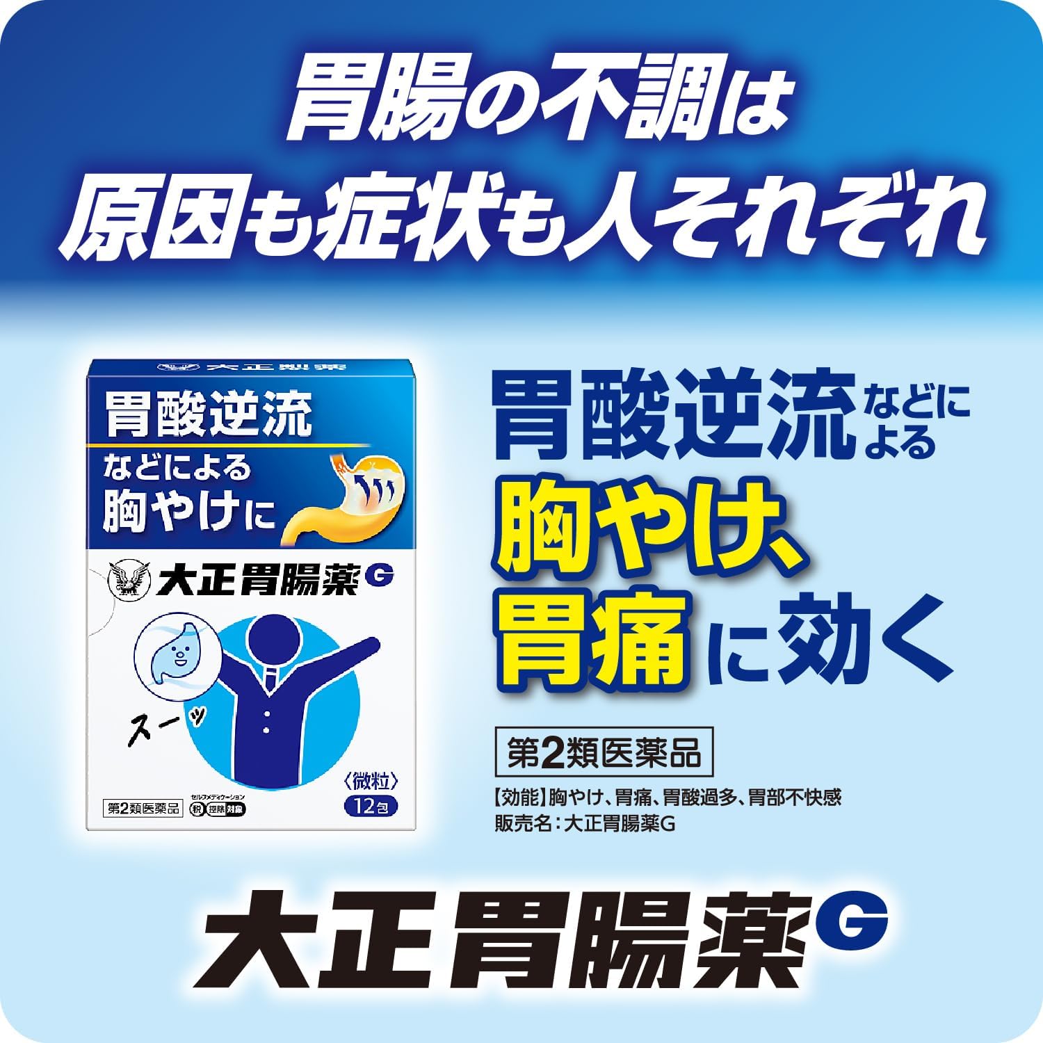 【第2類医薬品】大正胃腸薬G 12包