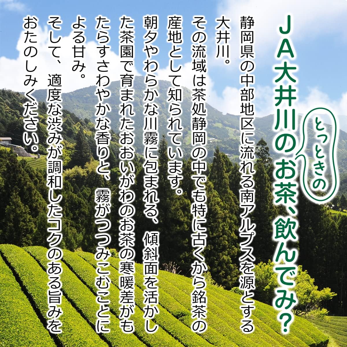 JA Oigawa Green Tea Bag 0.1 oz (3 g) x 40 Packs, Shizuoka Tea, Sencha, Cold Brew, Hot Water, Tea, Matcha Tea