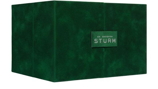 DR BARBARA STURM Advent calendar 2025 - Image 2