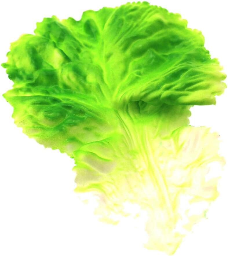 Speed mao Lifelike Sunny Lettuce, Green Vegetables, Food Sample, Model, Set of 5