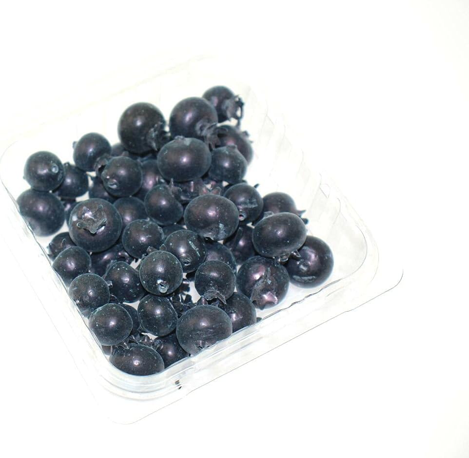 Speed mao Realistic Blueberry Big Small Sample Food Model Pack
