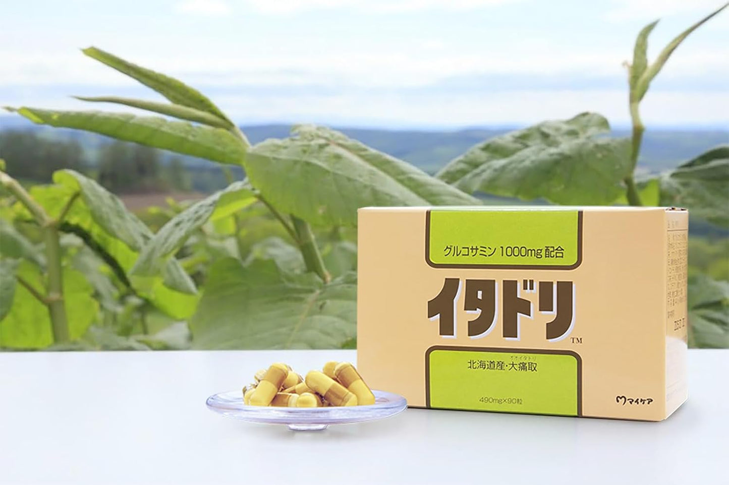 Fushibushi Supplement Itadori (Glucosamine 1000mg・Hokkaido Daitotsu)