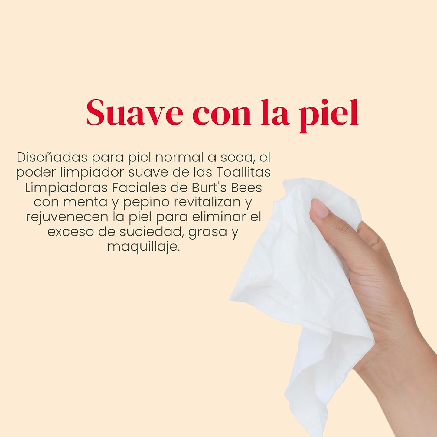 Burt's Bees Rellenos para calcetines, Toallitas faciales de pepino y menta, para todo tipo de piel, Toallitas refrescantes para remover maquillaje y limpieza facial, Regalos de cuidado de la piel para