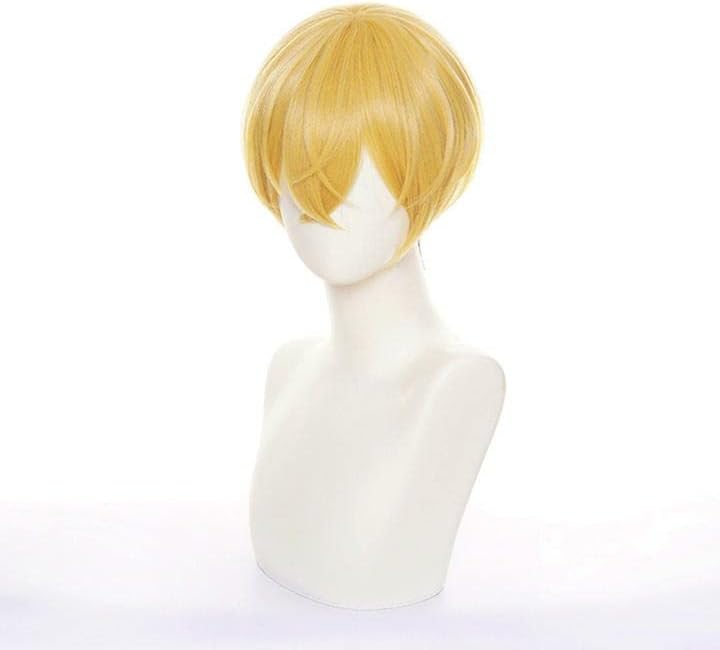 LVMEY Tokyo Revengers Cosplay Wig, Chifuyu Matsuno, Heat Resistant, Disguise Wig, Cosplay Wig, Wig Cosplay Costume, Comic Event, Halloween, Christmas, Cultural Festival, School Festival, Wig Net