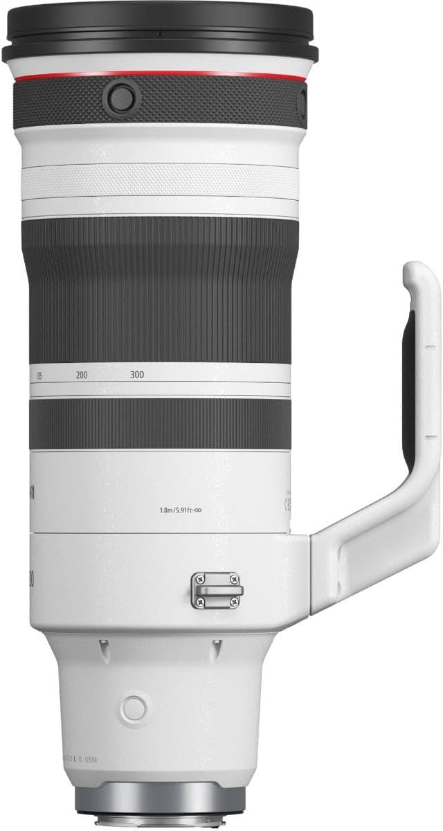 CANON / RF100-300mm F2.8 L IS USM
