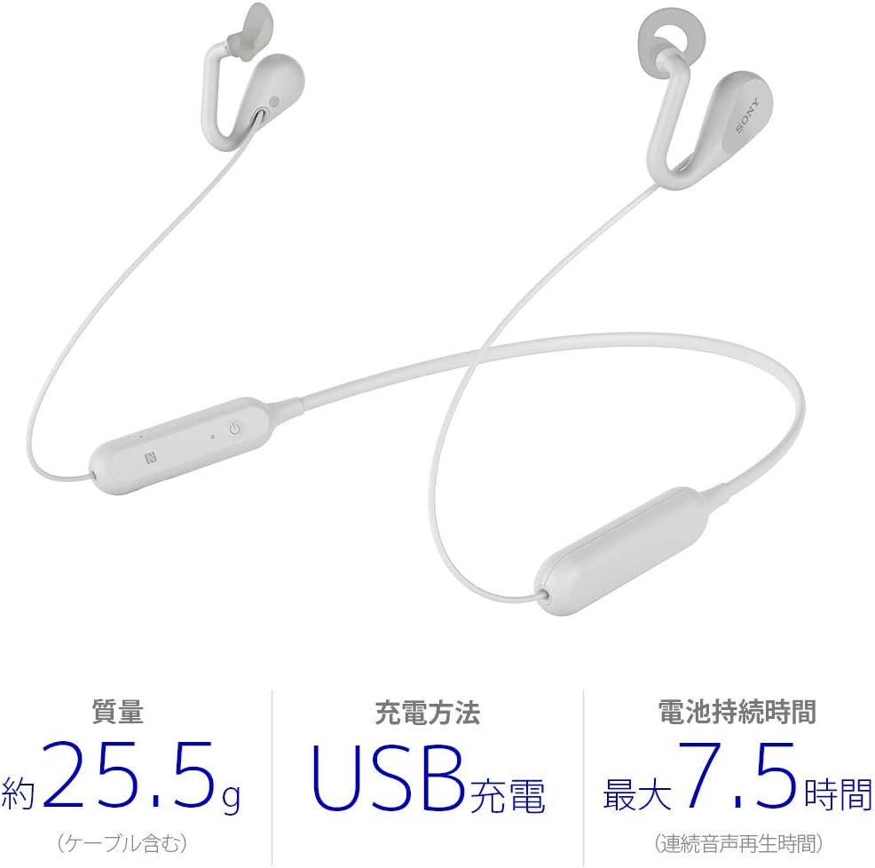 Sony Wireless Open-Ear Stereo Earphones SBH82D